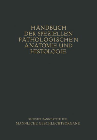 Harnorgane Männliche Geschlechtsorgane