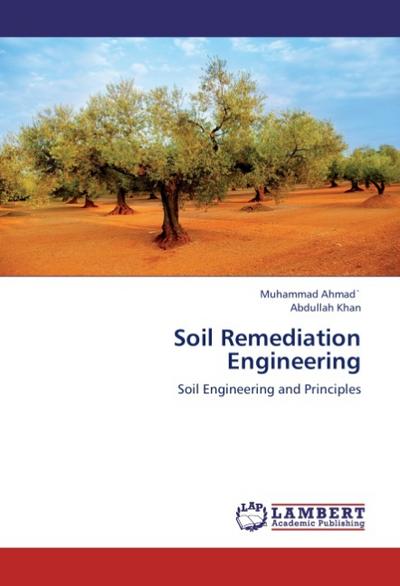 Soil Remediation Engineering