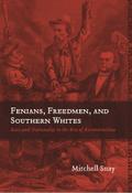 Fenians, Freedmen, and Southern Whites
