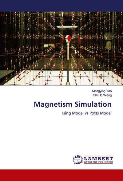 Magnetism Simulation