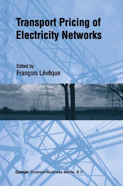 Transport Pricing of Electricity Networks