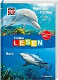 Erstes Lesen Wale und Delfine/Haie