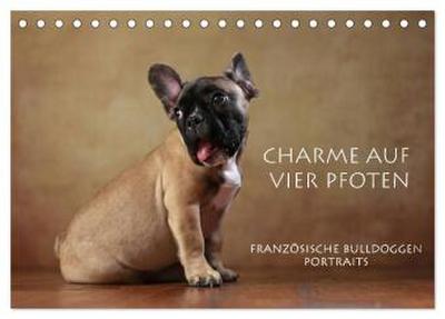 Charme auf vier Pfoten - Französische Bulldoggen Portraits (Tischkalender 2026 DIN A5 quer), CALVENDO Monatskalender