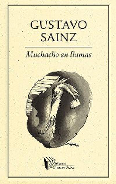 Muchacho en llamas