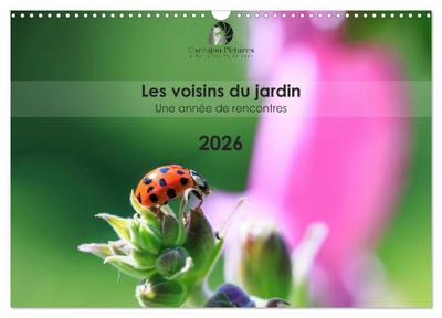 Les voisins du jardin - Une année de rencontres (Calendrier mural 2026 DIN A3 vertical), CALVENDO calendrier mensuel