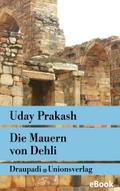 Die Mauern von Delhi