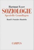 Soziologie: Spezielle Grundlagen 3