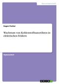 Wachstum von Kohlenstoffnanoröhren in elektrischen