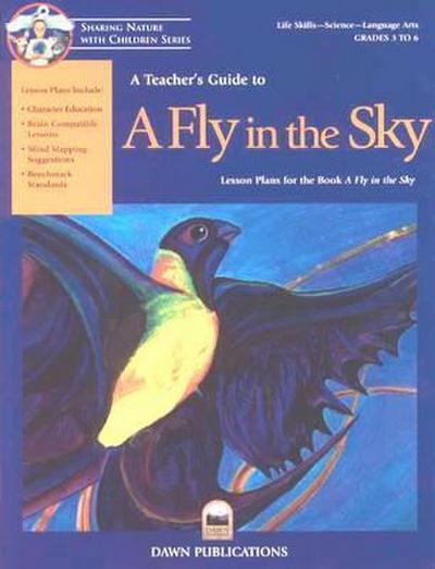 A Teacher’s Guide to a Fly in the Sky