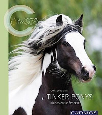 Tinker Ponys