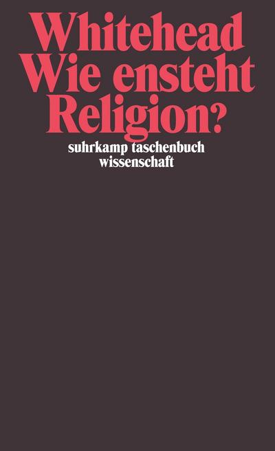 Wie entsteht Religion?