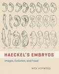 Haeckel’s Embryos