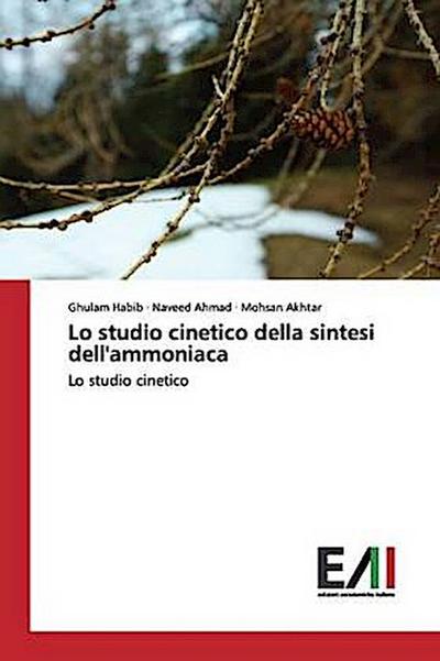 Lo studio cinetico della sintesi dell’ammoniaca