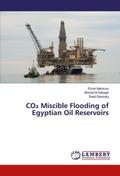 CO Miscible Flooding of Egyptian Oil Reservoirs