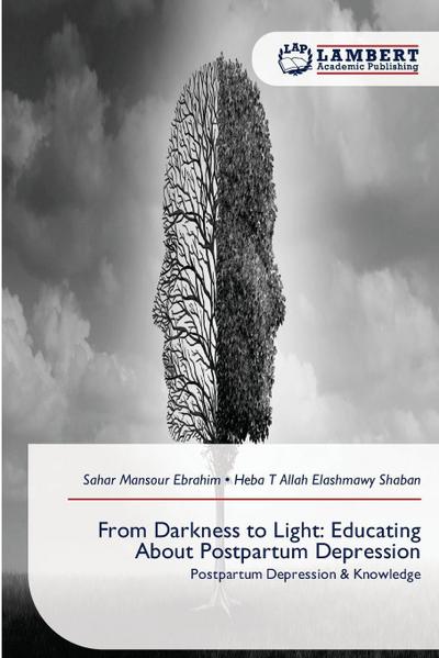 From Darkness to Light: Educating About Postpartum Depression