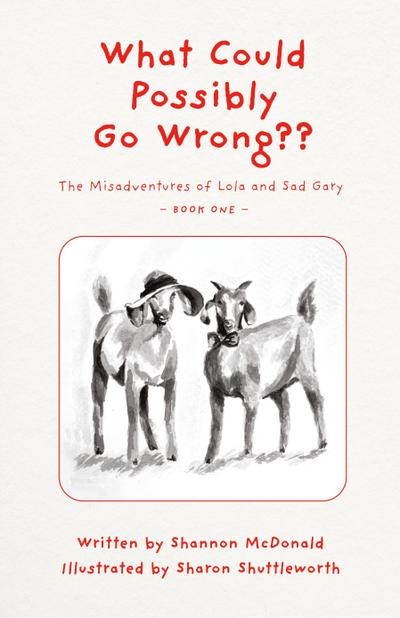 What Could Possibly Go Wrong