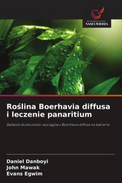 Ro¿lina Boerhavia diffusa i leczenie panaritium
