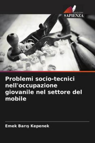 Problemi socio-tecnici nell’occupazione giovanile nel settore del mobile