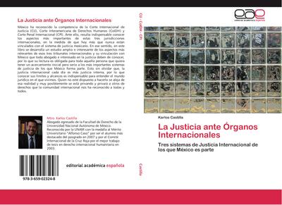 La Justicia ante Órganos Internacionales