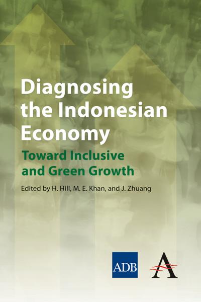 Diagnosing the Indonesian Economy