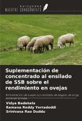 Suplementación de concentrado al ensilado de SSB sobre el rendimiento en ovejas