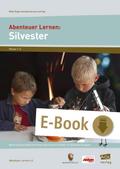 Abenteuer Lernen: Silvester