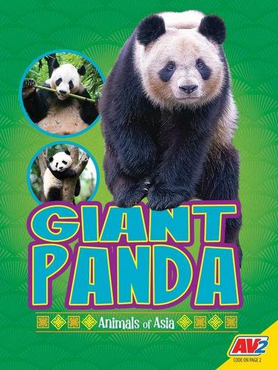 Giant Panda