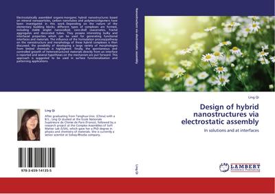 Design of hybrid nanostructures via electrostatic assembly