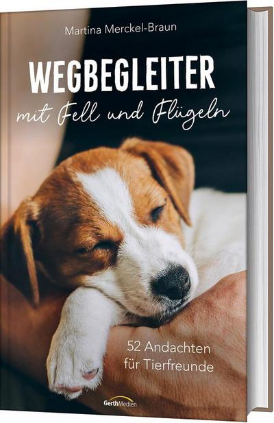 Wegbegleiter mit Fell und Flügeln