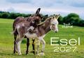 Esel 2027