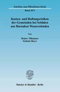 Kosten- und Haftungsrisiken der Gemeinden bei Schä