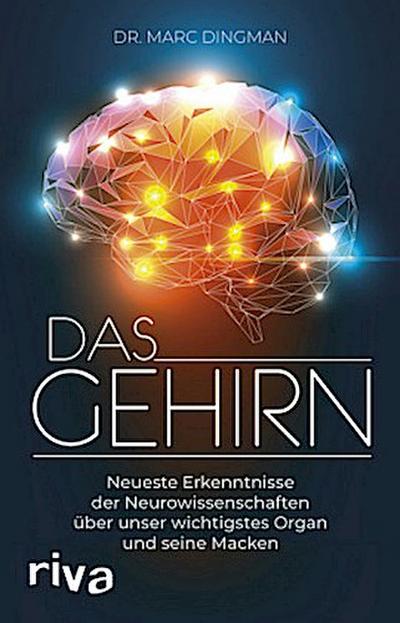 Das Gehirn