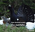 Das Auerhuhn