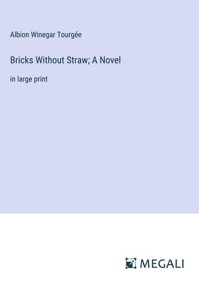Bricks Without Straw; A Novel