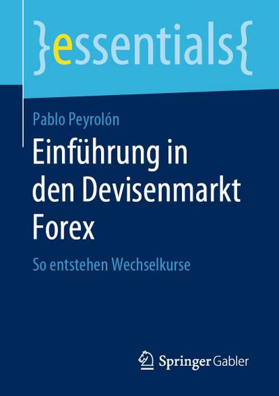 Einführung in den Devisenmarkt Forex