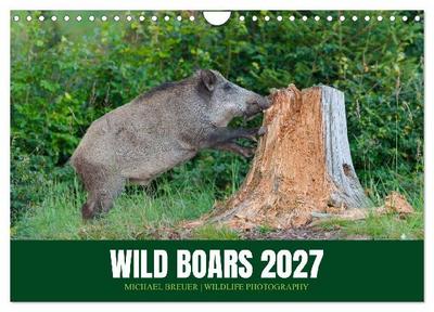 Wild Boars (Wall Calendar 2027 DIN A4 landscape), CALVENDO 12 Month Wall Calendar