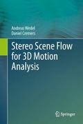 Stereo Scene Flow for 3D Motion Analysis