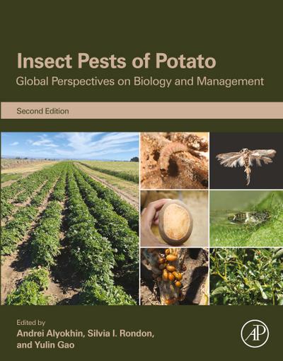 Insect Pests of Potato