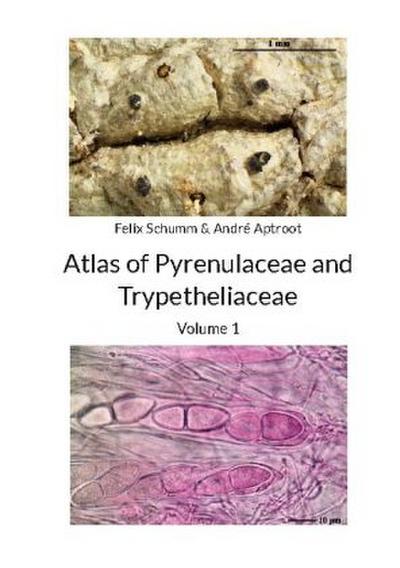 Atlas of Pyrenulaceae and Trypetheliaceae - Volume 1