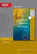 Productivité, efficience et valeur ajoutée - Introduction (Chapitre PDF)