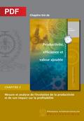 Mesure et analyse de l’évolution de la productivité et de son impact sur la profitabilité (Chapitre PDF)