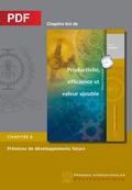 Prémices de développements futurs (Chapitre PDF)