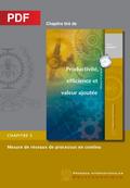 Mesure de réseaux de processus en continu (Chapitre PDF)