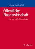 Öffentliche Finanzwirtschaft