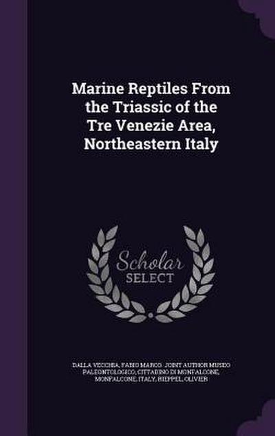 Marine Reptiles From the Triassic of the Tre Venezie Area, Northeastern Italy