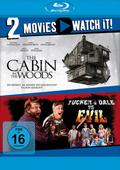 The Cabin in the Woods & Tucker & Dale vs Evil