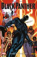 Black Panther 2 -Sturm über Wakanda von Ta-Nehisi Coates | Ebook
