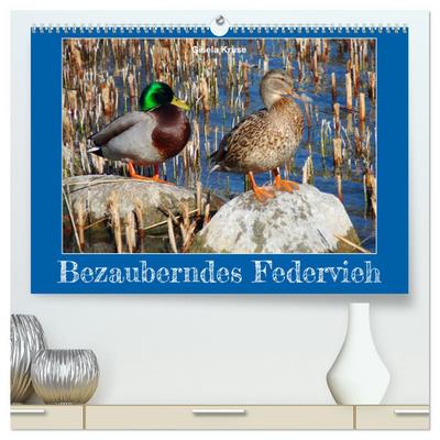 Bezauberndes Federvieh (hochwertiger Premium Wandkalender 2025 DIN A2 quer), Kunstdruck in Hochglanz
