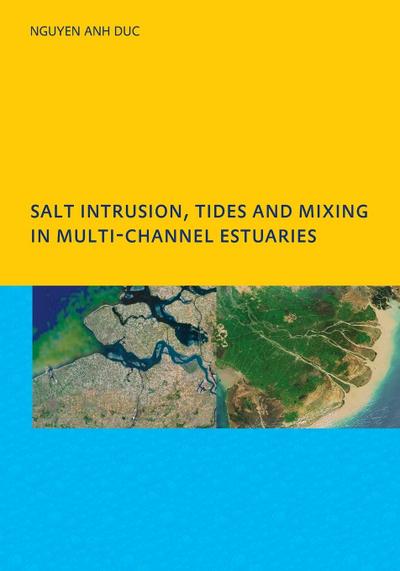Salt Intrusion, Tides and Mixing in Multi-Channel Estuaries