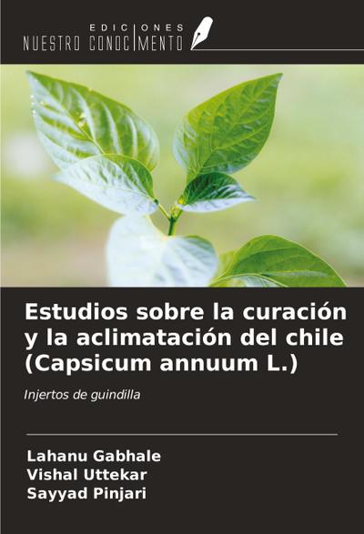 Estudios sobre la curación y la aclimatación del chile (Capsicum annuum L.)